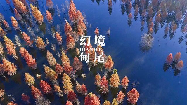 成年人表达思念的方式有多委婉呢？